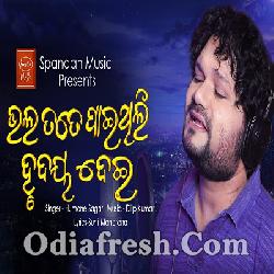 Bhala Tate Paithili Hrudaya Dei - Heart Touch Sad Song By Humane Sagar